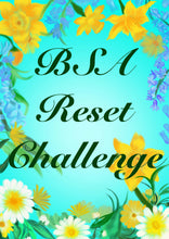 Load image into Gallery viewer, Bsa Reset Challenge - Resources