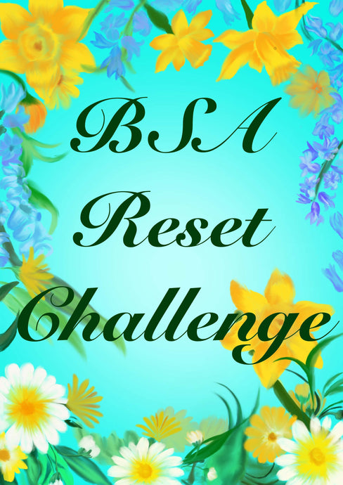 Bsa Reset Challenge - Resources