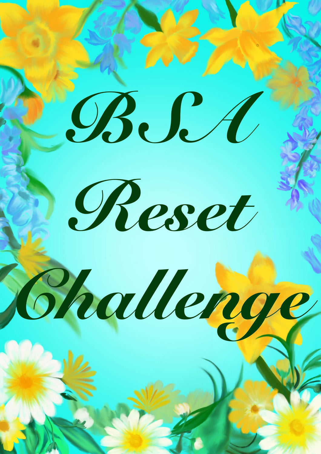 Bsa Reset Challenge - Resources